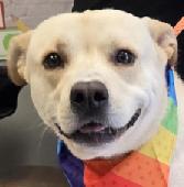 Felix
